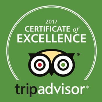 2017 Certificate of Excellence