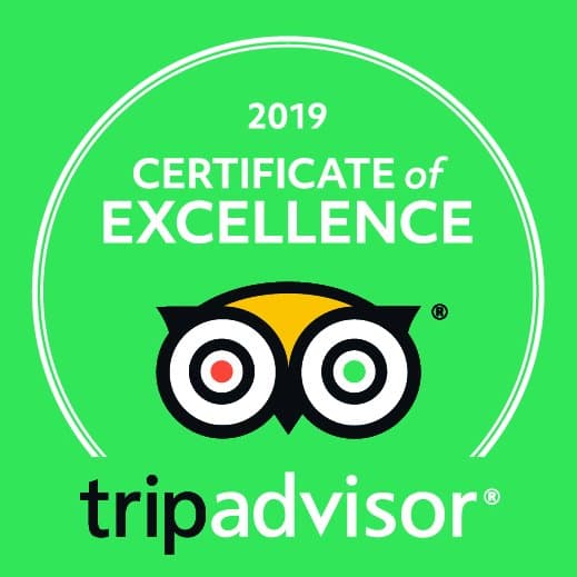 2019 Certificate of Excellence